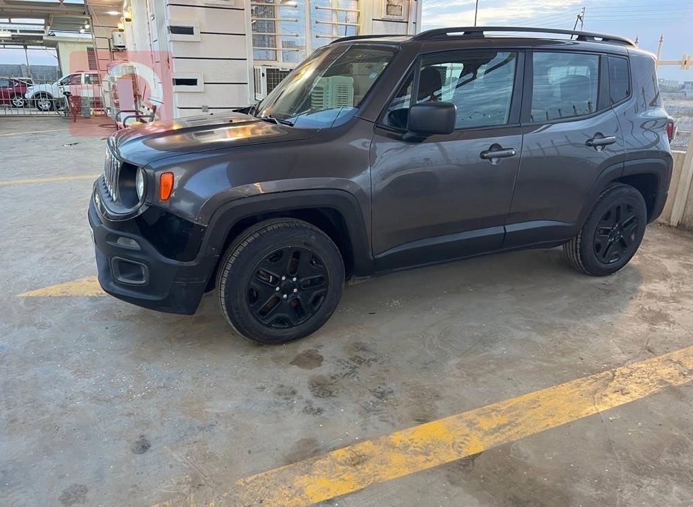 جيب رينيجيد